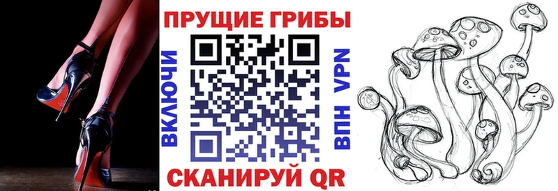 купить наркотики цена  Дзержинск  Галлюциногенные грибы Cubensis 