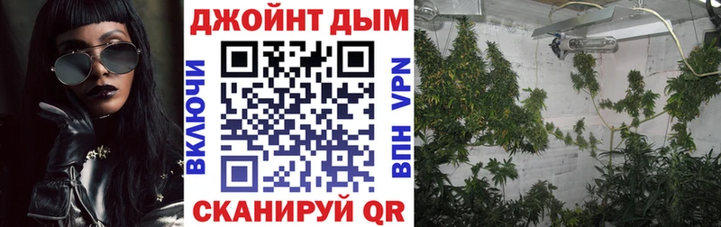 Каннабис семена  купить наркотики цена  Дзержинск 